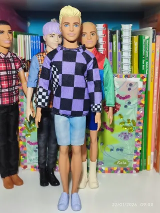 Barbie Ken Fashionista