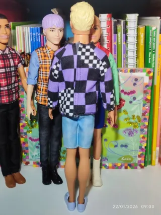 Barbie Ken Fashionista
