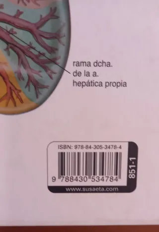 Atlas ilustrado de anatomía (Spanish Edition)