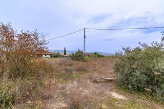 Solar en venta en Albolote