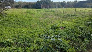 Terreno en venta en Bollullos de la Mitación