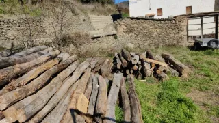 Vigas de madera antiguas