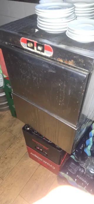 Lavavajillas industrial. 631617022