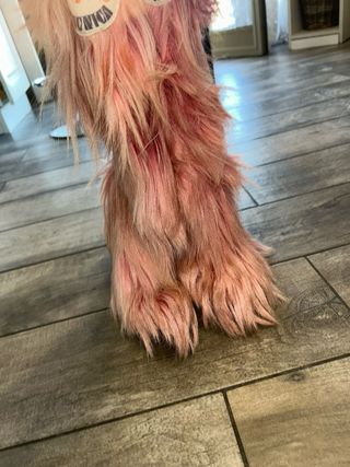 Stivali da sci in pelliccia rosa