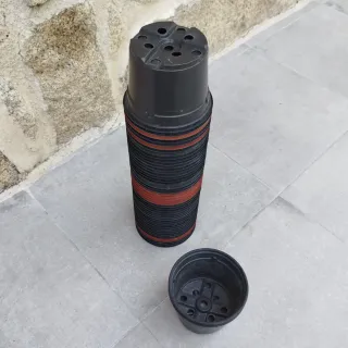 Lote 50 macetas plástico 10.5 cm