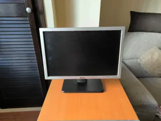 Monitor Dell 19 Panorámico