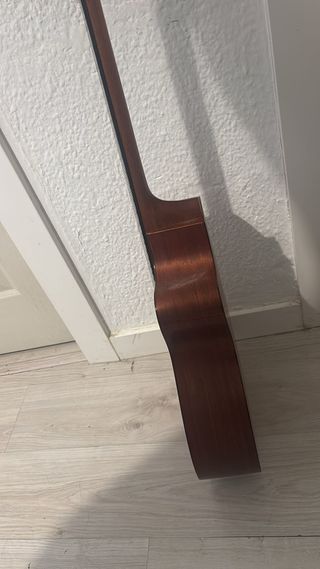Guitarra electroacústica Richwood A-50 CE