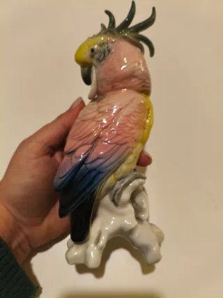 Pappagallo cacatua Karl Ens porcellana policroma