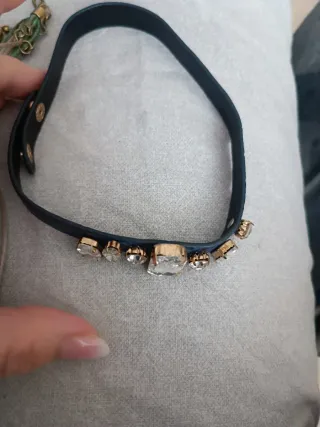 girocollo blu con strass anche per cani