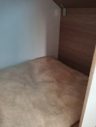 Casa para gato de madera