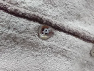 Chaleco de punto beige y marrón