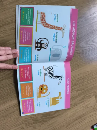 Once libros de cuentos para niños en francés.