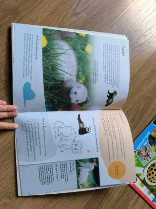 Once libros de cuentos para niños en francés.