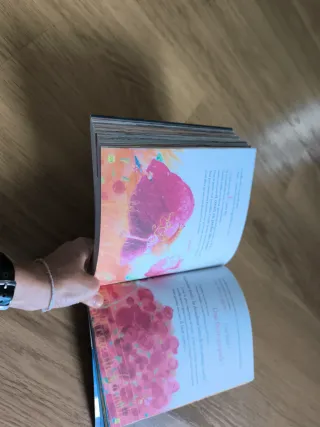 Once libros de cuentos para niños en francés.