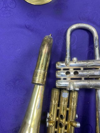 Campana de corneta y trompeta