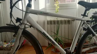 Bicicleta Eléctrica SCHIANO E-MOON 28″