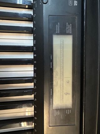 Teclado Casio CDP-220R.