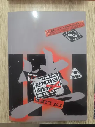 Stray Kids IN LIFE (Orange Ver.) Álbum Kpop