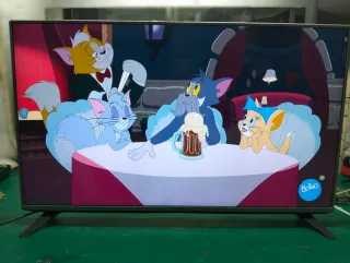 Televisor LG 49 pulgadas  sin Smart TV