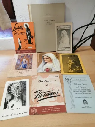 Lote 9 librillos de la Virgen Maria
