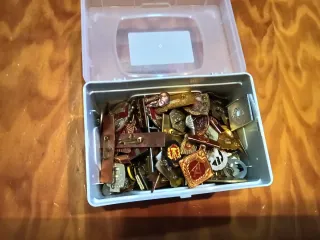 Lote Pins y Medallas RDA Antigua