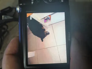 Cámara Nikon Coolpix S2500 Rosa