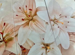 Conjunto de cuadros decorativos flores