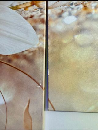 Conjunto de cuadros decorativos flores