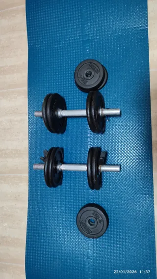 Mancuernas ajustables con discos