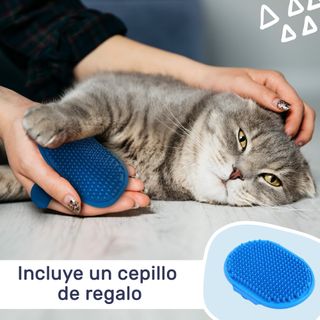 Hamaca para gato en ventana