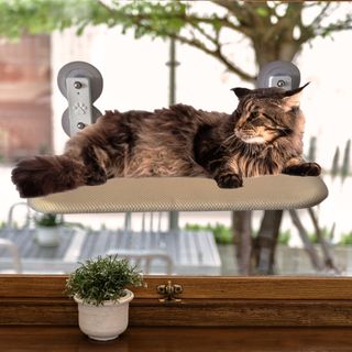 Hamaca para gato en ventana