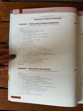 Fundamentos teóricos y prácticos de la motivacion