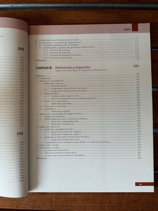 Fundamentos teóricos y prácticos de la motivacion