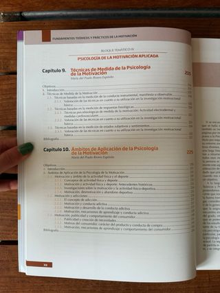 Fundamentos teóricos y prácticos de la motivacion