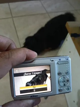 Cámara Digital Nikon COOLPIX S210 Plata