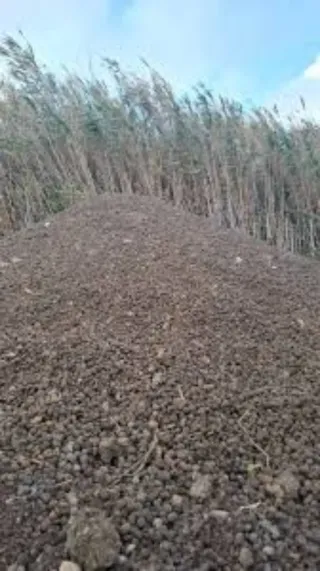 Estiércol de cabra para abono, precio negociable