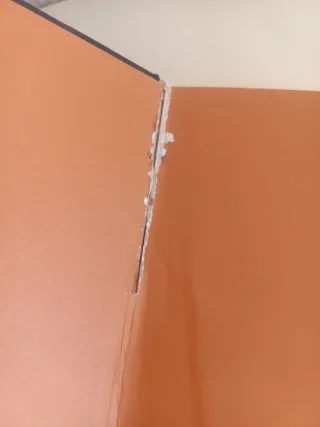 Una corte de llamas plateadas. Edición especial...