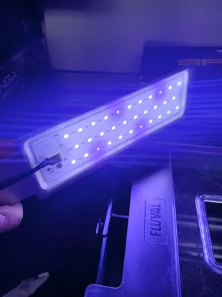 Acuario Fluvial SPEC 10L LED