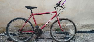 Bicicleta Roja XT1 America