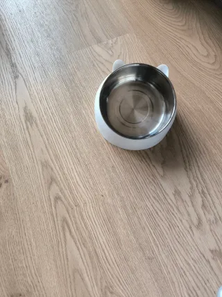 Plato para gatos con diseño de orejas