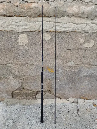 Caña y carrete de bacoretas