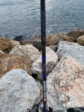 Caña y carrete de bacoretas