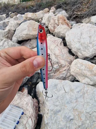 Caña y carrete de bacoretas