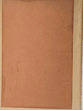 CUADRO PINTADO SOBRE AMATE CORTEZA ARBOL MEJICANO