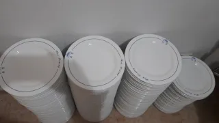 Lote de Platos de Porcelana Blancos con Borde Azul