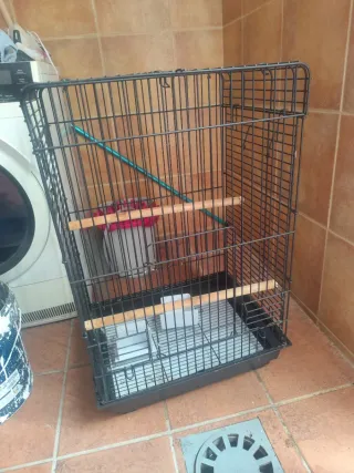 Jaula para loro negra y verde