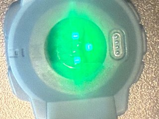 Garmin Instinct 1 Reloj Inteligente Verde