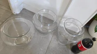 Floreros de cristal transparente