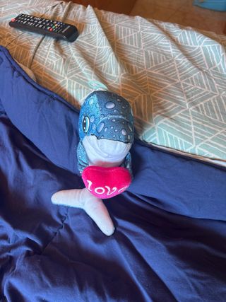 Lote de peluches grandes y pequeños