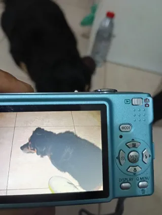 Cámara Panasonic Lumix DMC-FS33 Celeste